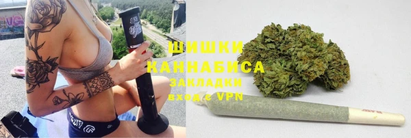 стафф Богородск