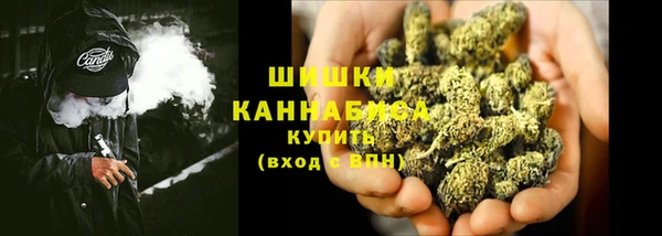 мескалин Богданович