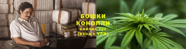 мескалин Богданович