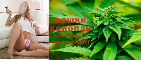 стафф Богородск