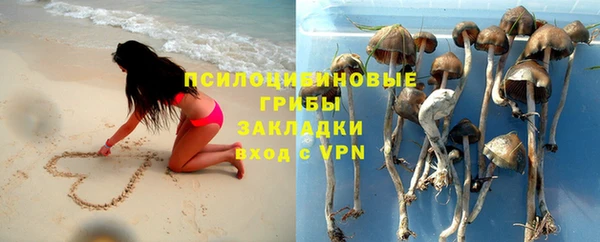мескалин Богданович