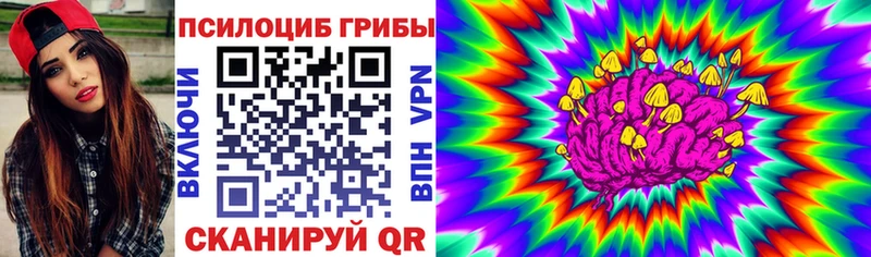 Псилоцибиновые грибы Cubensis  как найти закладки  Очёр 